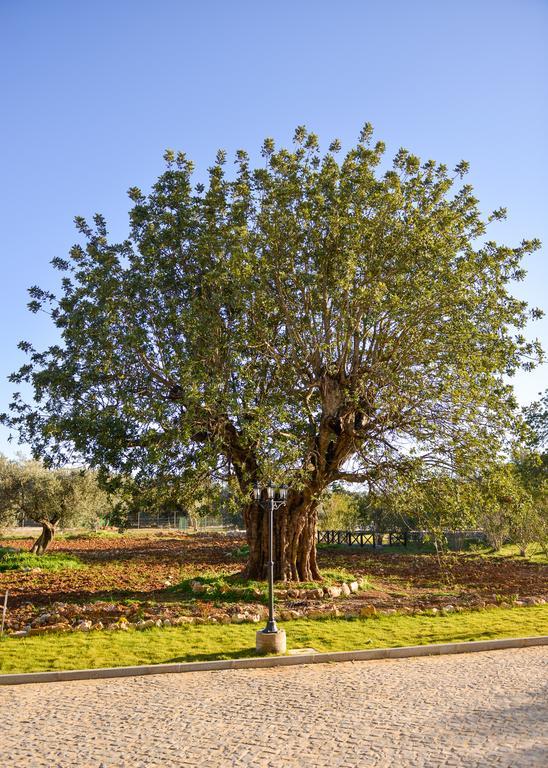 Vila Quinta Dos Tesouros São Brás de Alportel Exteriér fotografie