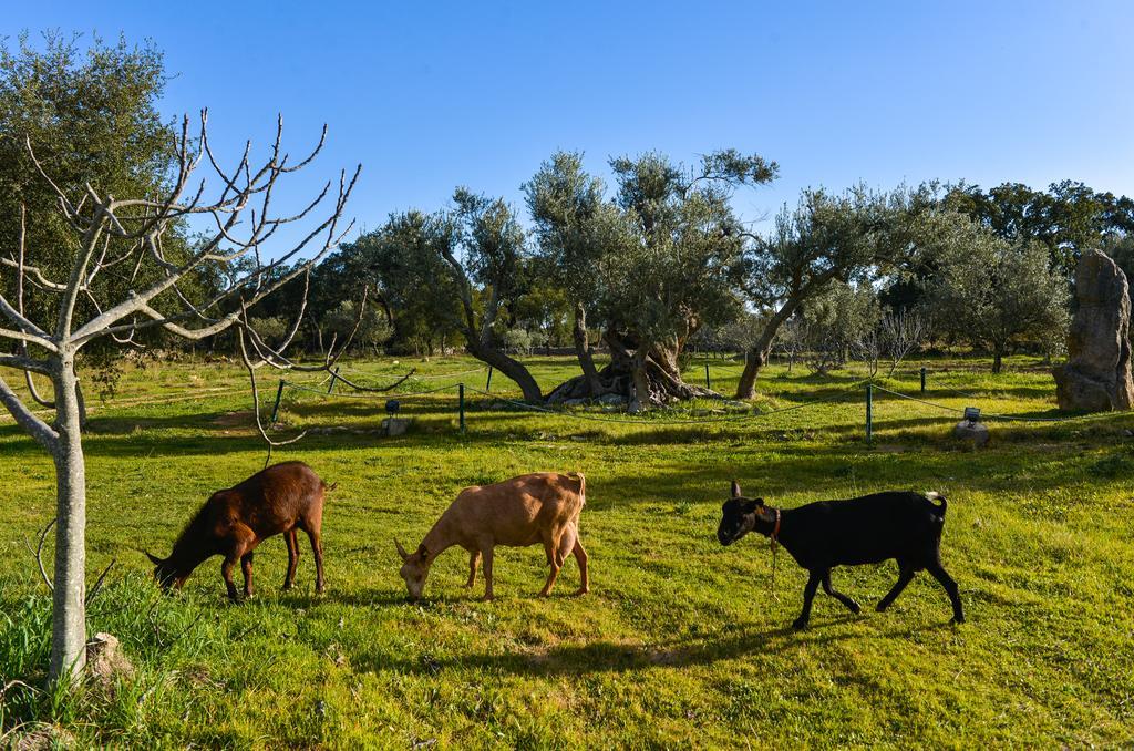 Vila Quinta Dos Tesouros São Brás de Alportel Exteriér fotografie